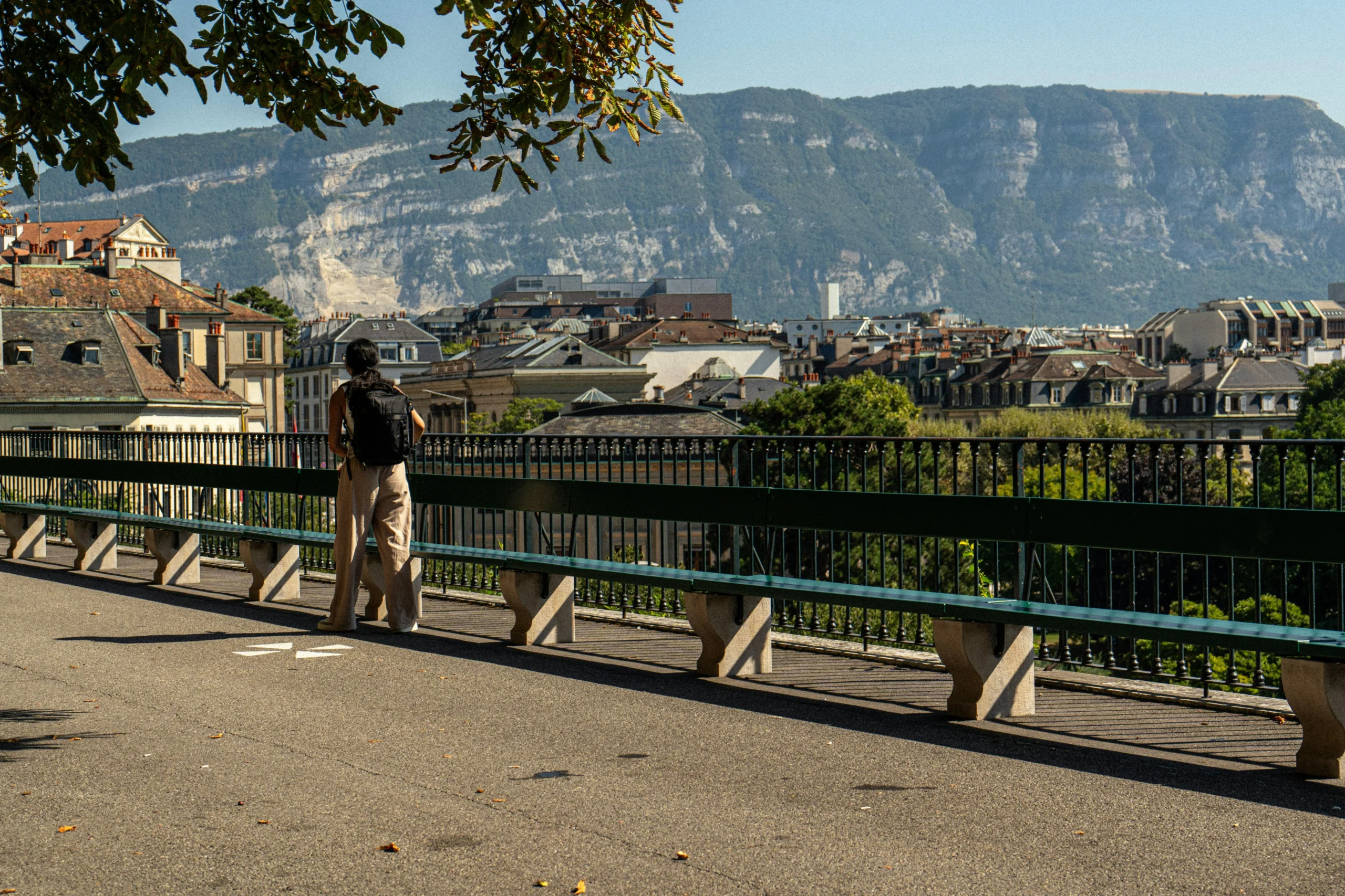 Vue sur le Mont-Salève